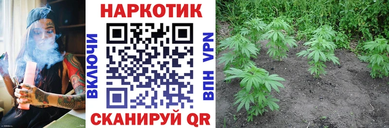 АМФЕТАМИН Омутнинск