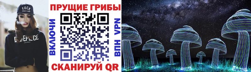 купить наркоту blacksprut сайт Псилоцибиновые грибы MAGIC MUSHROOMS Омутнинск